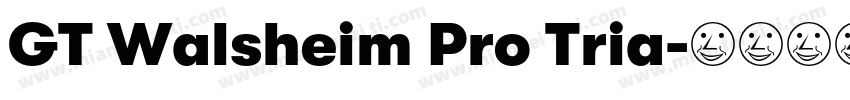 GT Walsheim Pro Tria字体转换